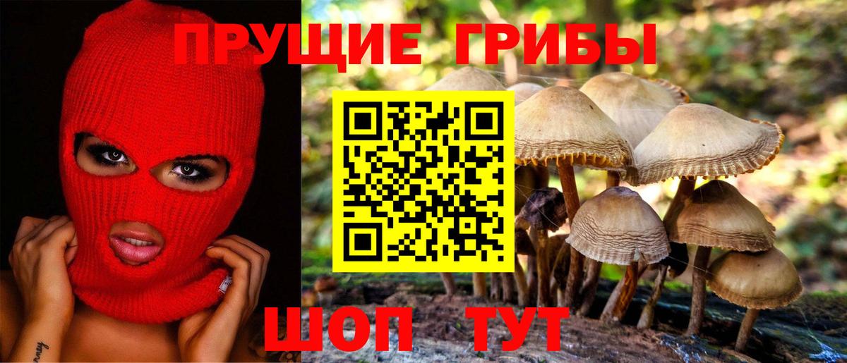 Галлюциногенные грибы Psilocybe  Вход с VPN  Псилоцибиновые грибы мицелий  Россошь 