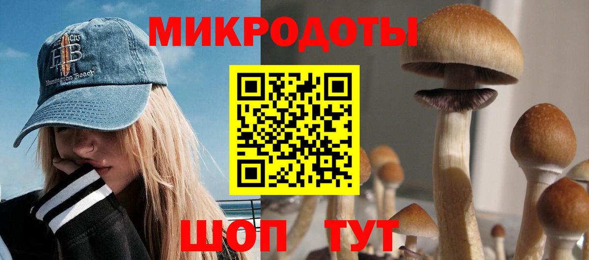 Псилоцибиновые грибы Psilocybe Россошь